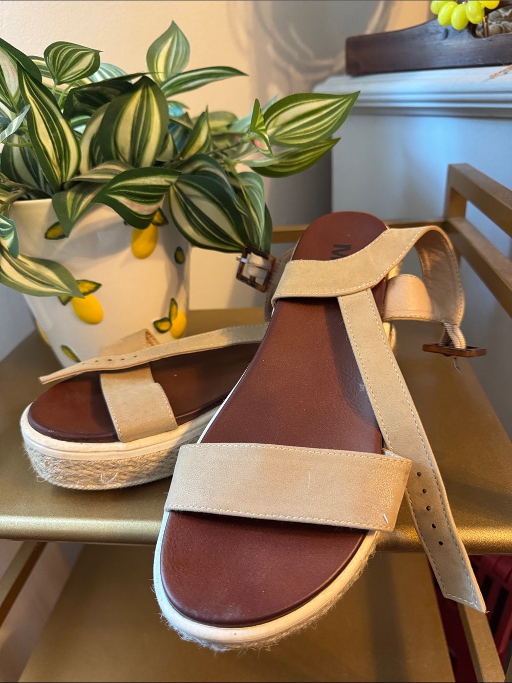 MIA Beige and Brown Platform Sandals for Women